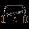 Audio Bl..