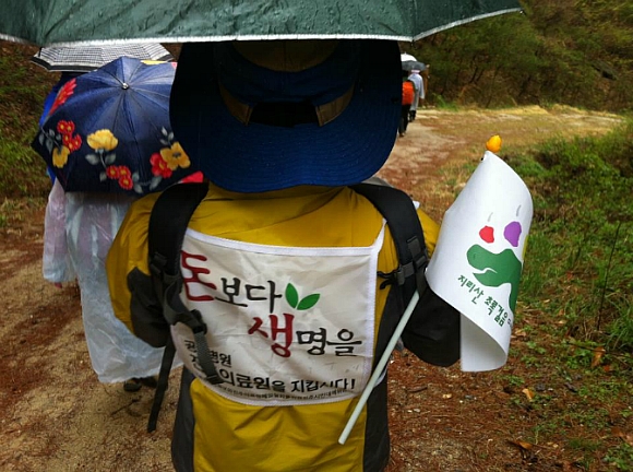 지리산큰나무 이미지
