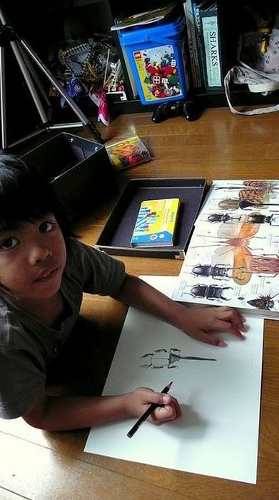 일본초딩이 찍은 헤라클레스 장수풍뎅이의 일생 | 인스티즈