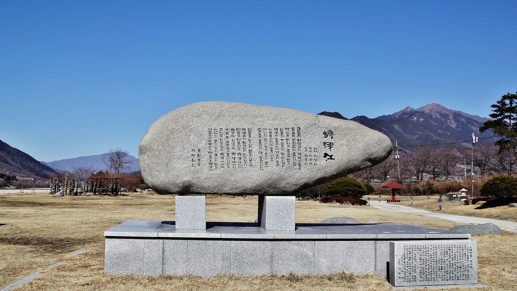 공원갈매기 이미지