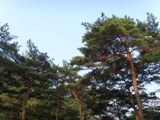 별이머문자리 이미지