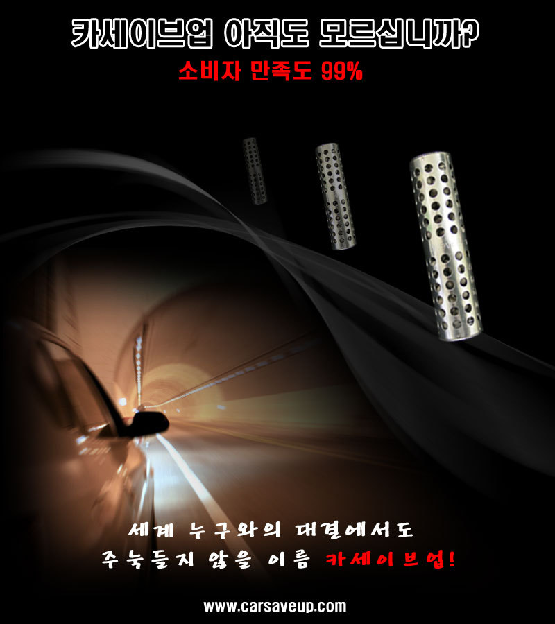 세이브카 이미지