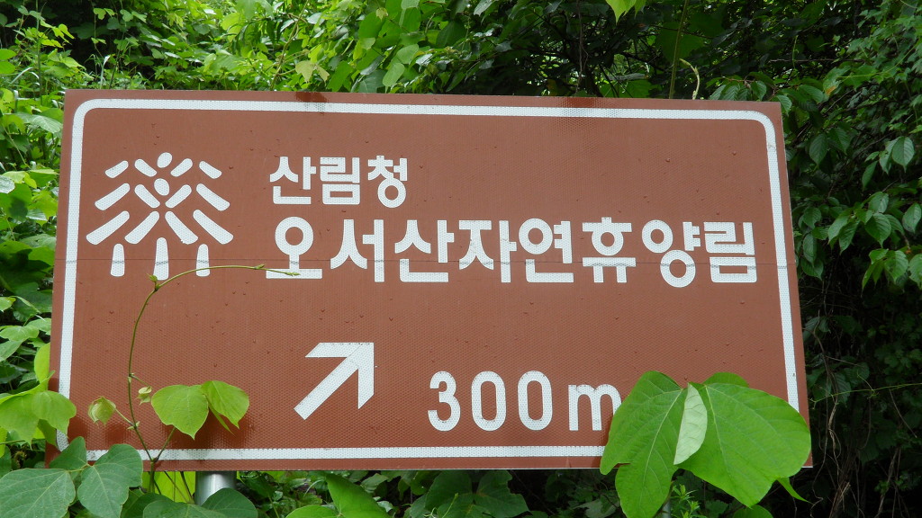 오서산자연휴양림 이미지