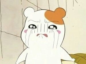 조*용 이미지