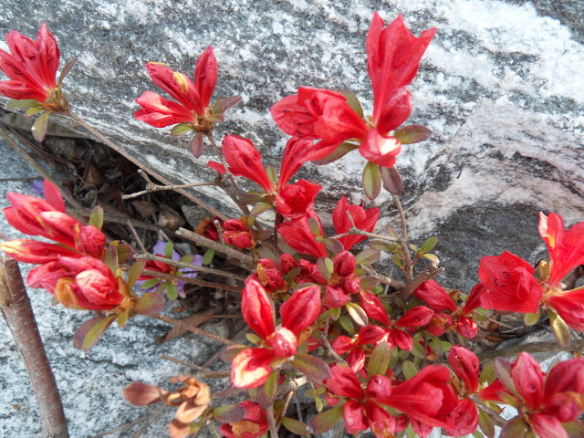 스튜디옴 이미지