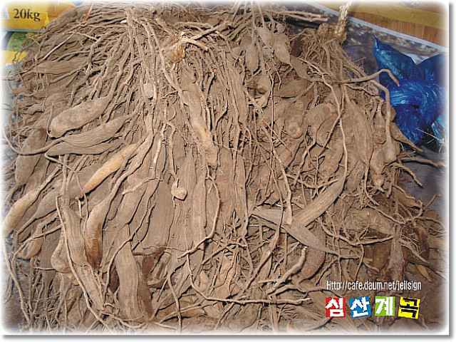 통영바닷가 이미지