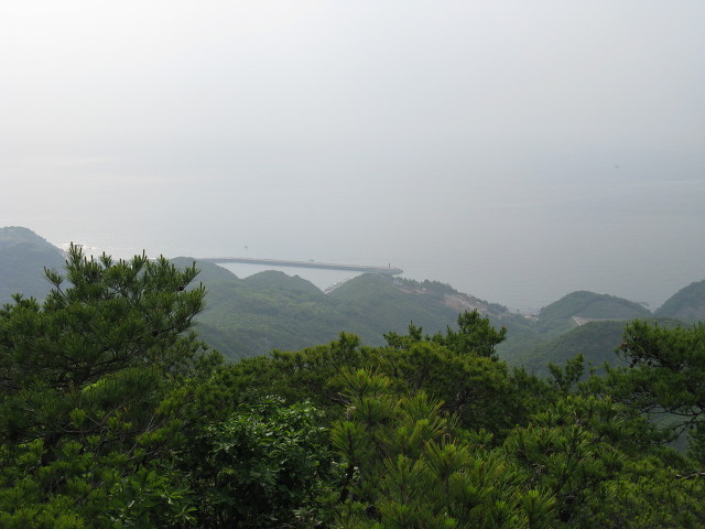 정동진민박 이미지