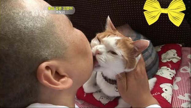 상귀농장 이미지