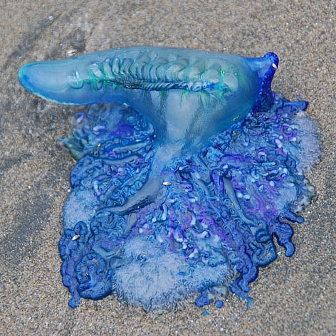 12278D584D4ED4CF23C8AD