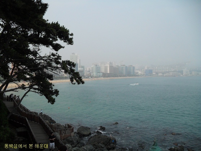 영토건 이미지