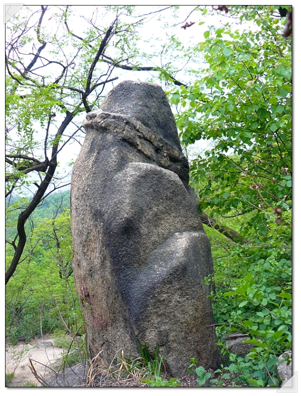 숲속의궁전 이미지