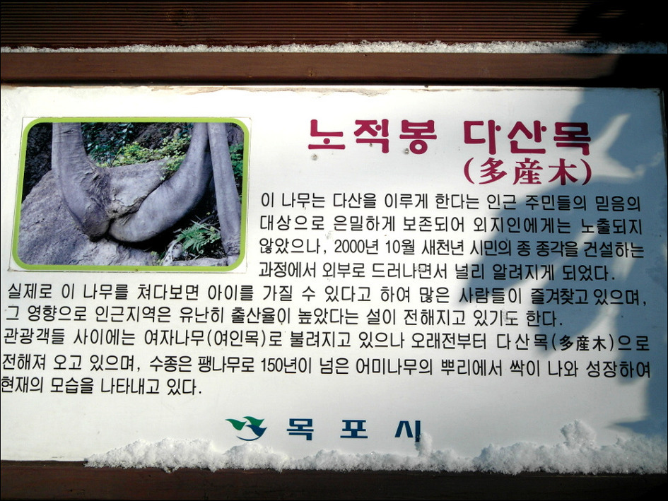 다순구미 이미지