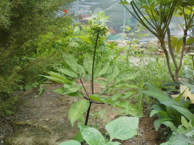 두부마을 이미지