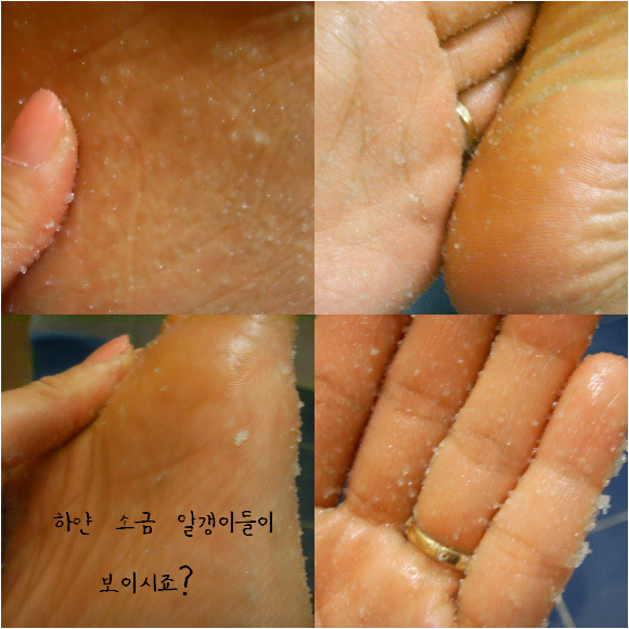 탈라소 이미지