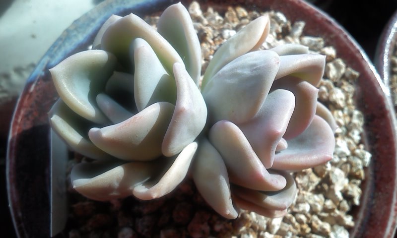 한아름농원 이미지
