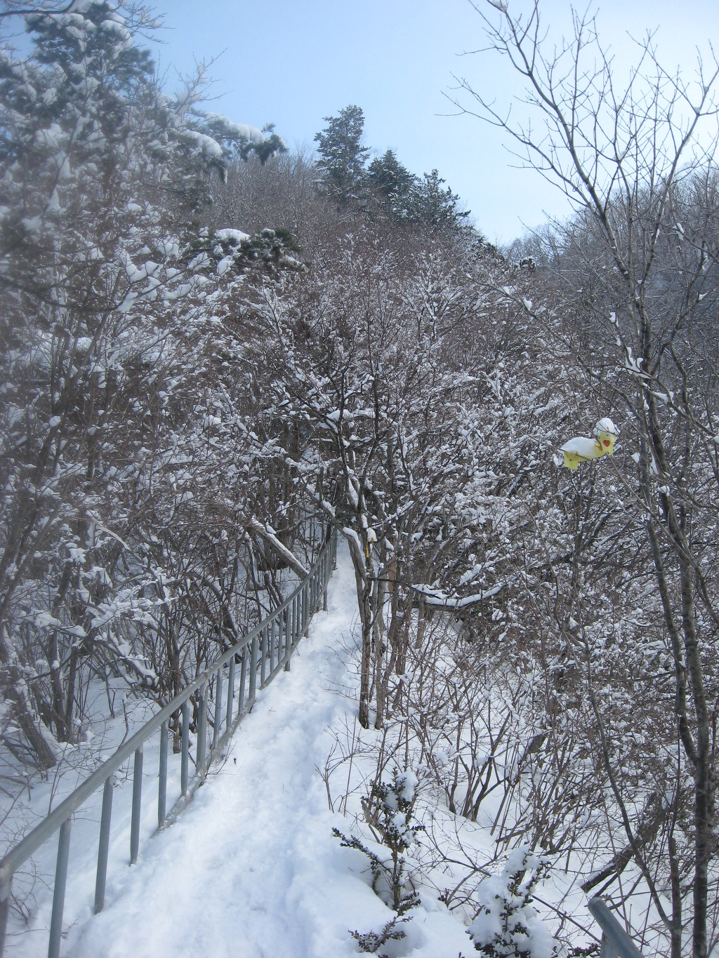 환선봉에서 이미지