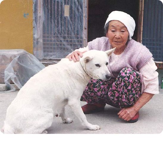 카페메인 이미지