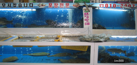 낭만상회 이미지