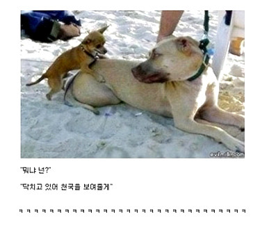 그래거기 이미지