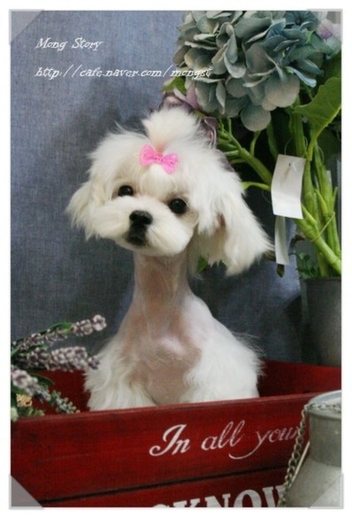 또또 이미지