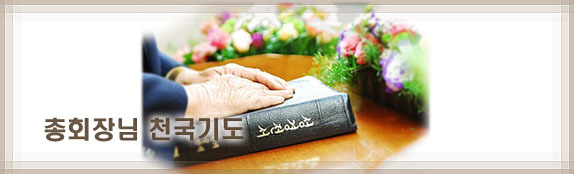 삼일영이 이미지