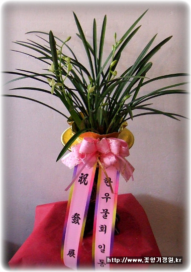 서륜 이미지