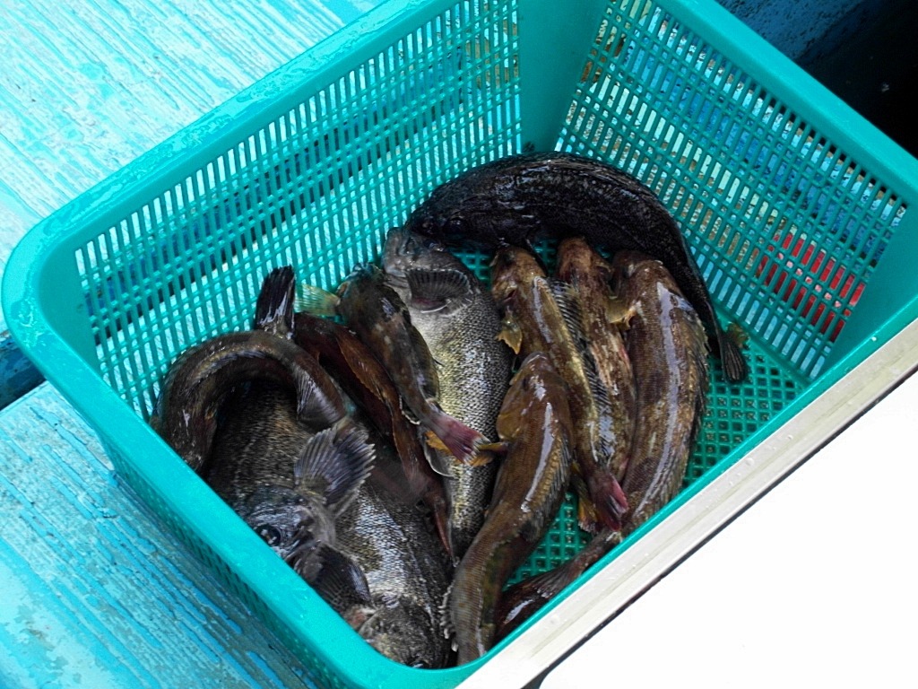 삼길포횟집 이미지