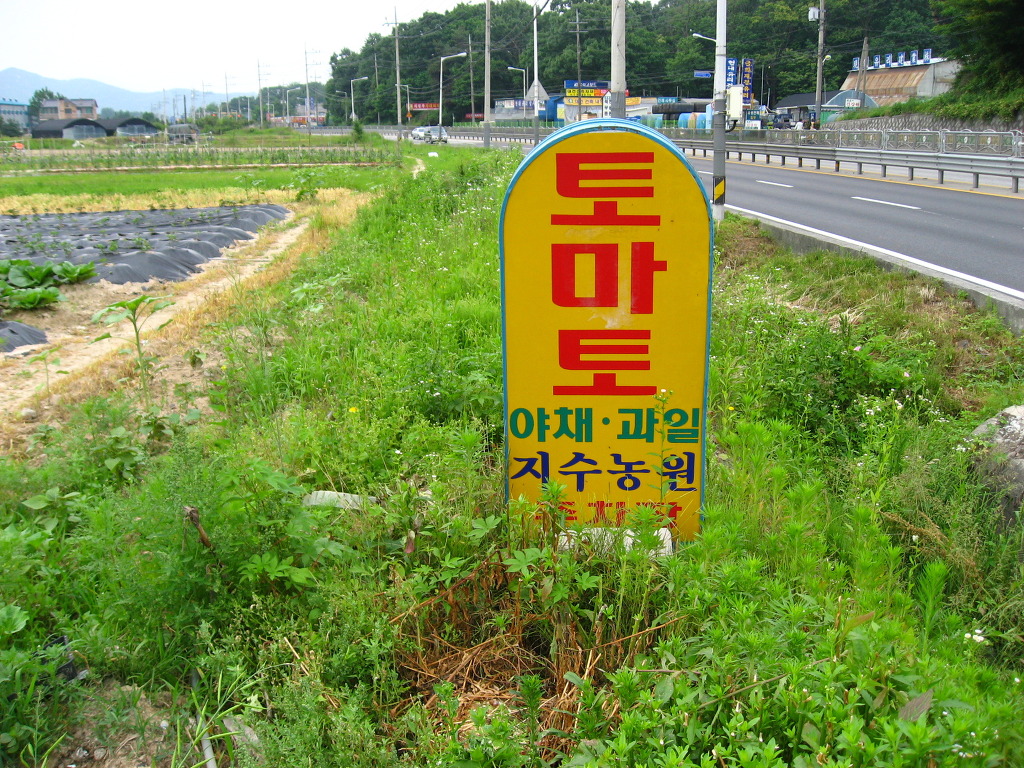 지수농원 이미지