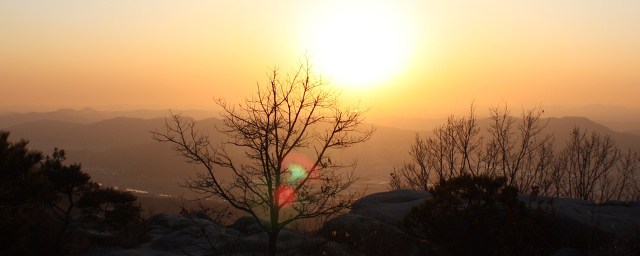 고요 이미지