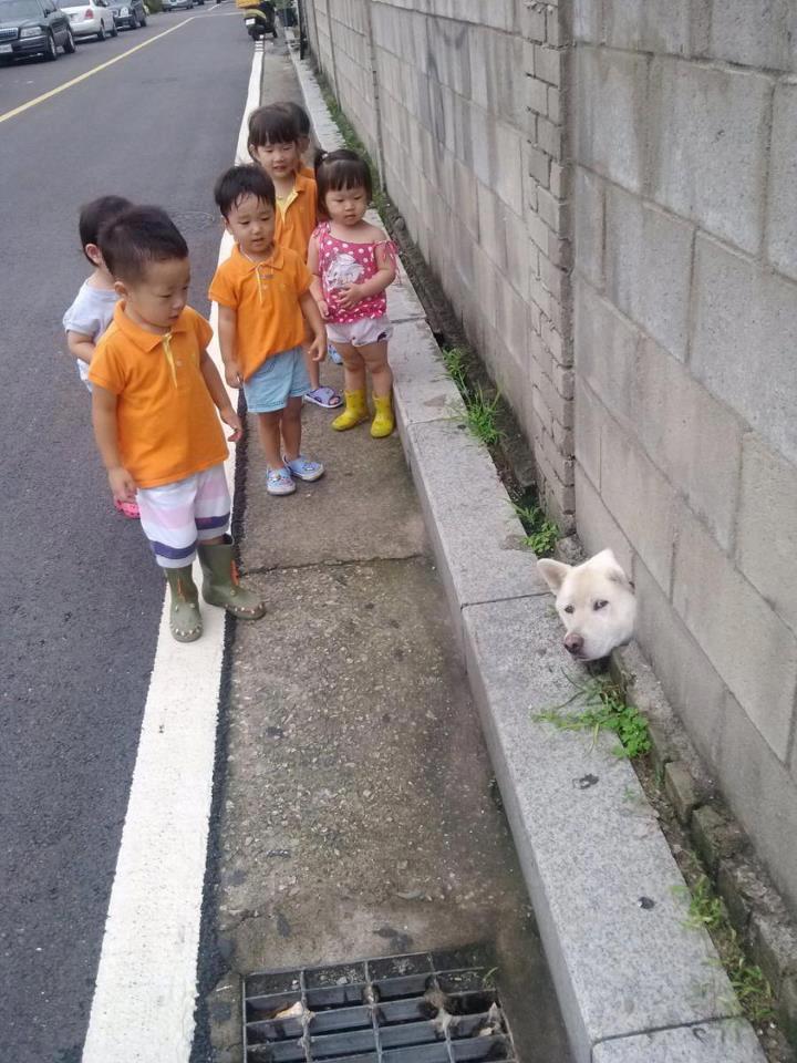 넌 이미지