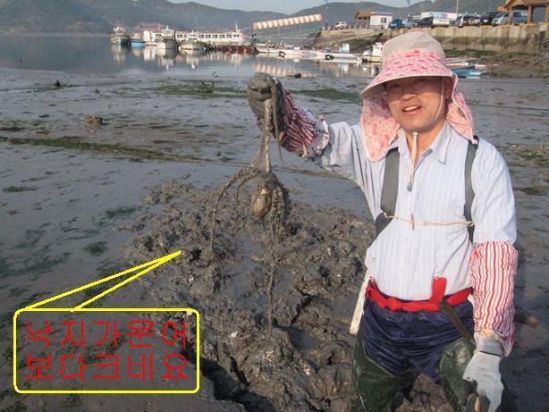 대흥호 이미지