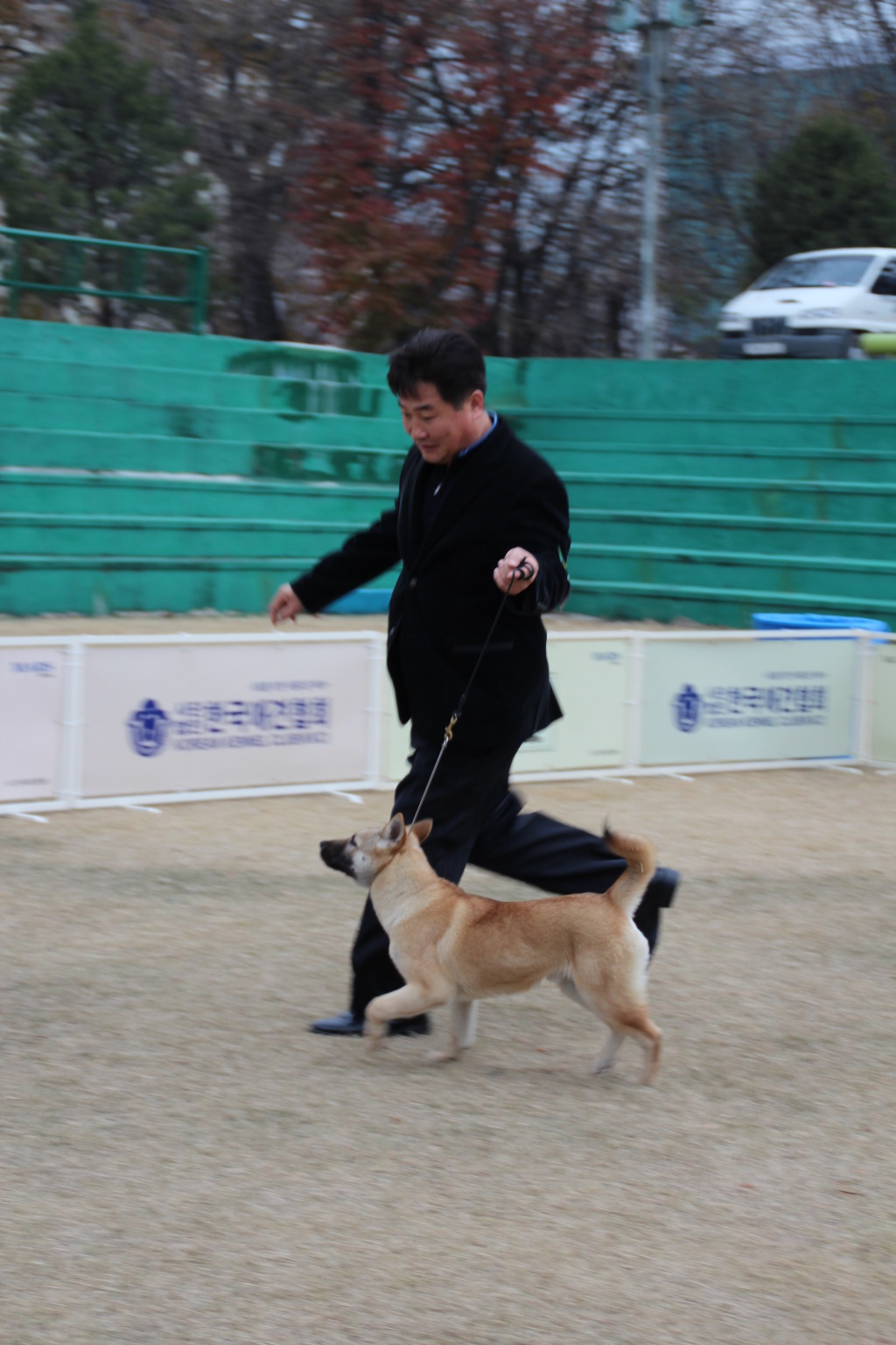 금용 이미지