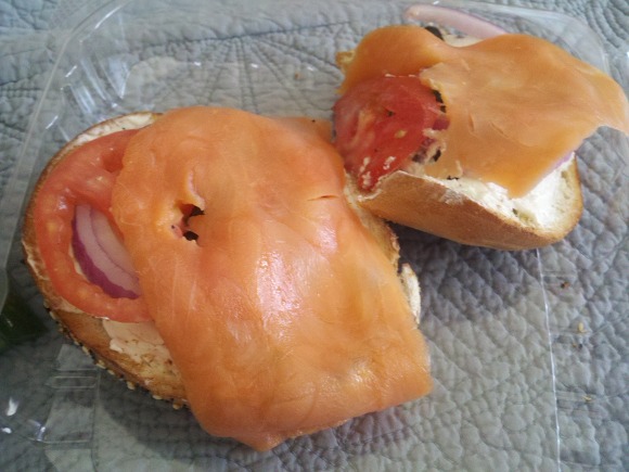 함베이글 이미지