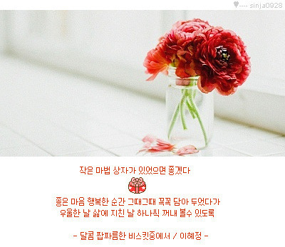 오팡 이미지