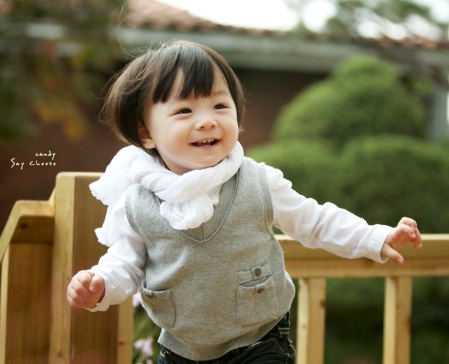세이치즈 이미지