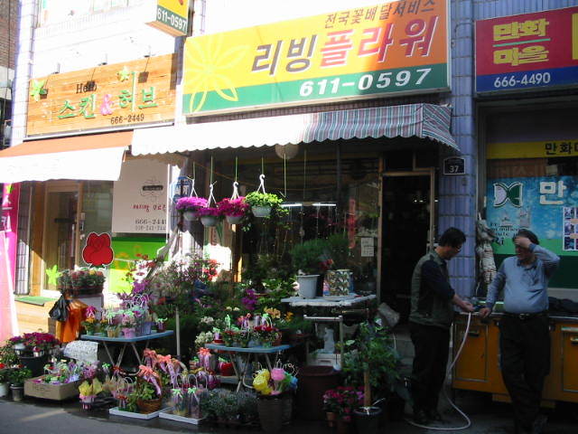 리빙플라워 이미지