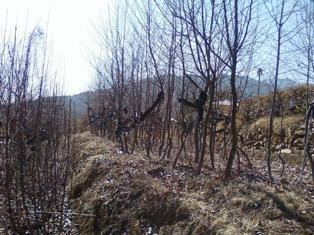 2리식당 이미지