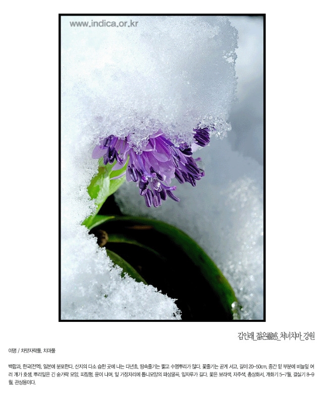 하늘산책 이미지