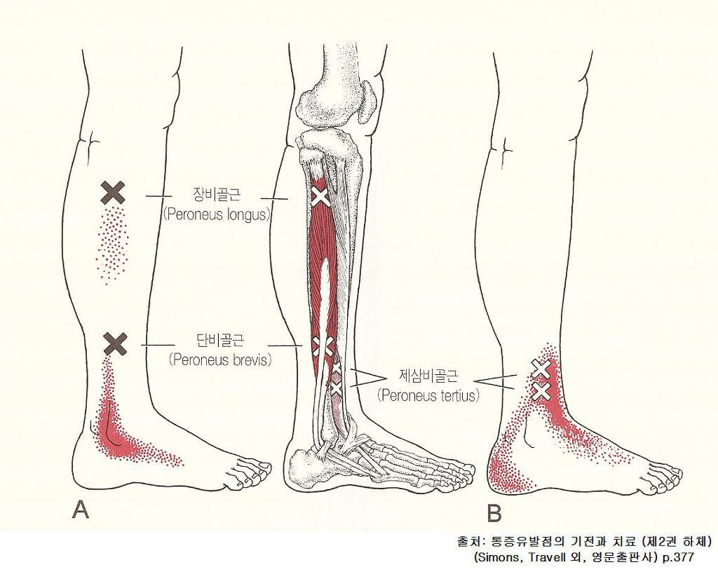 사과나무한의원 이미지