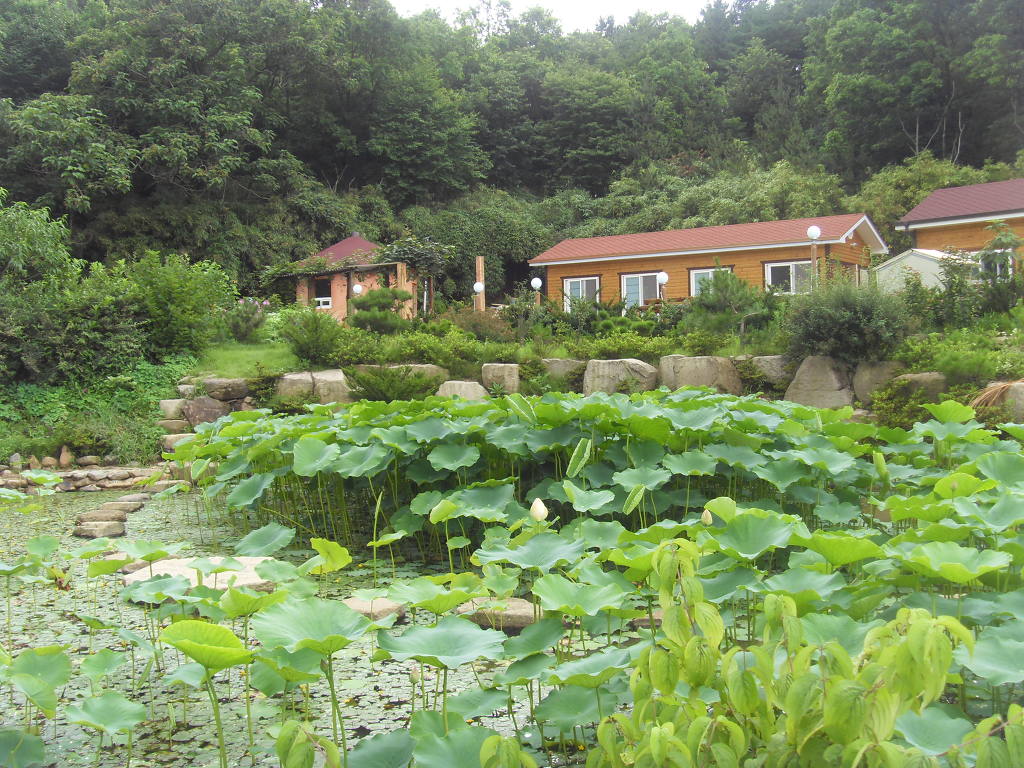 장동팬션 이미지