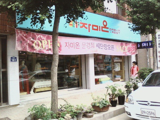 자미온 이미지