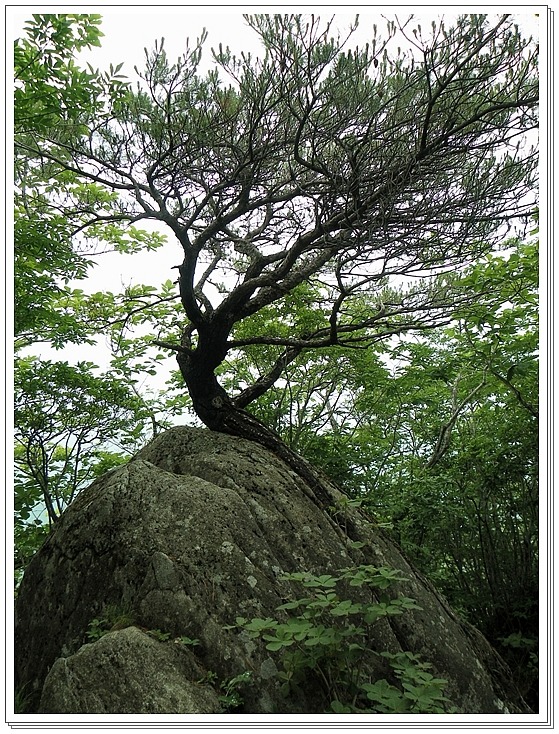 밀레경남 이미지