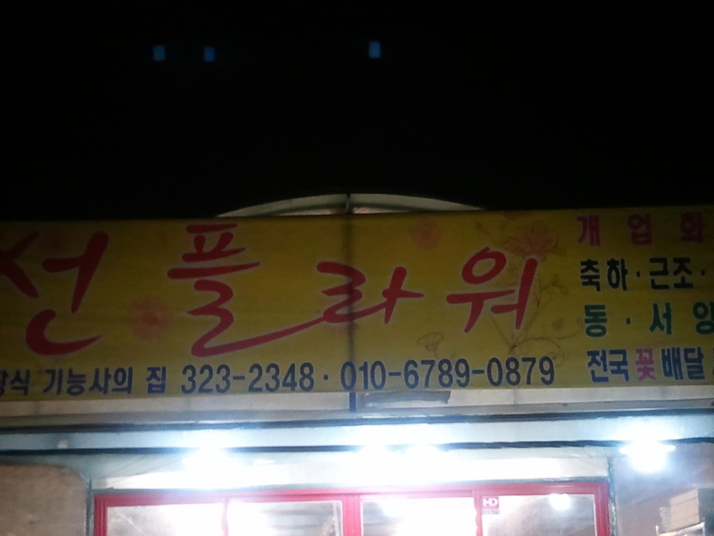 선플라워 이미지