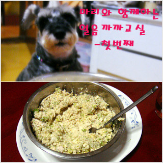 아이스까까 이미지