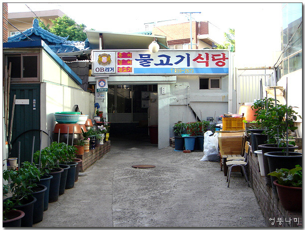 물고기식당 이미지