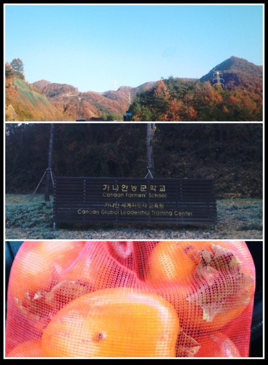 가나안에너지 이미지