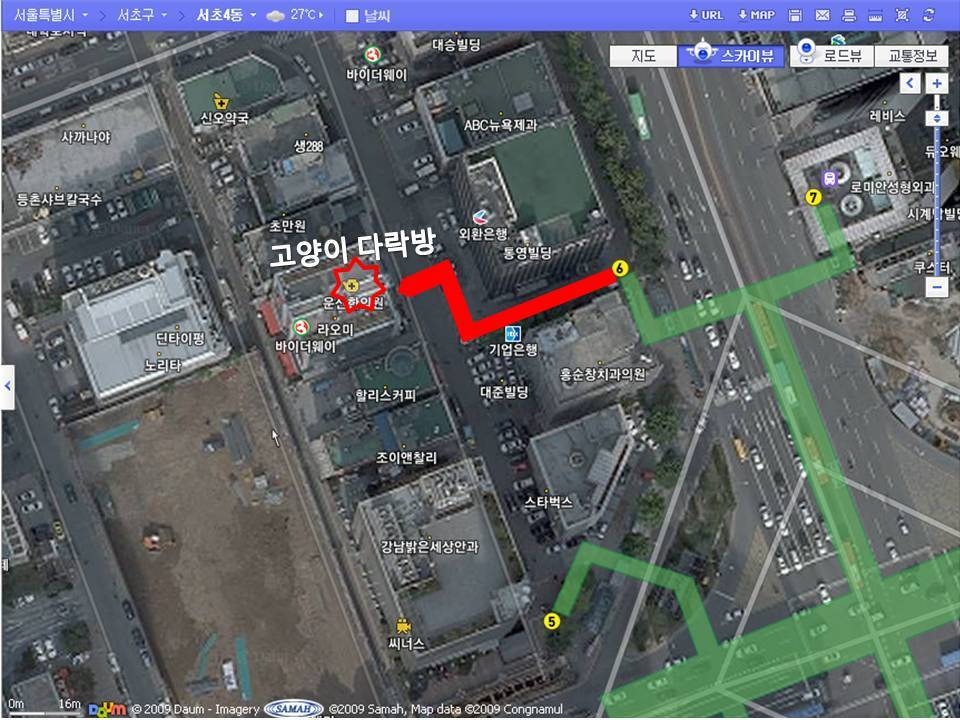 강남다방 이미지