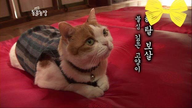 상귀농장 이미지