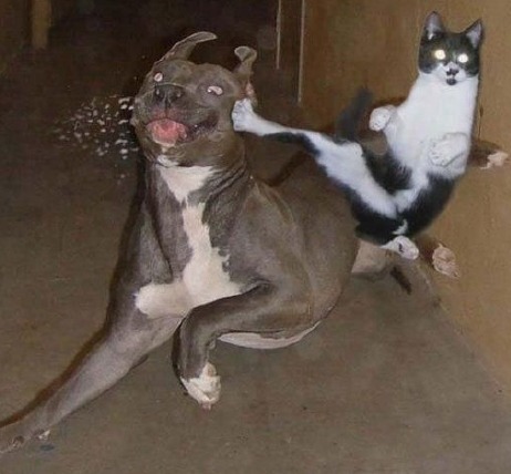복 이미지