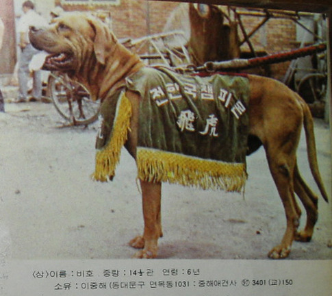 호호 이미지